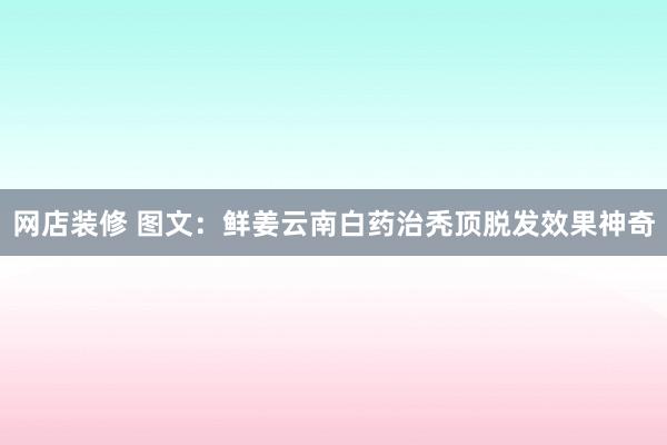 网店装修 图文：鲜姜云南白药治秃顶脱发效果神奇