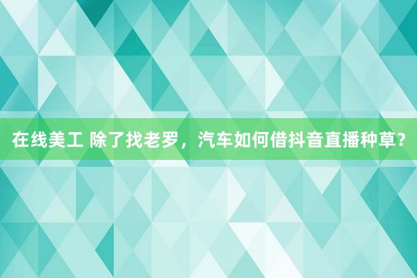 在线美工 除了找老罗，汽车如何借抖音直播种草？