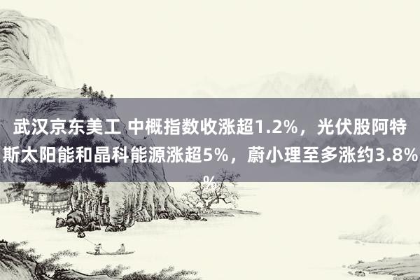 武汉京东美工 中概指数收涨超1.2%，光伏股阿特斯太阳能和晶科能源涨超5%，蔚小理至多涨约3.8%