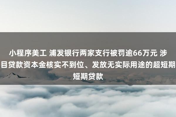 小程序美工 浦发银行两家支行被罚逾66万元 涉及项目贷款资本金核实不到位、发放无实际用途的超短期贷款