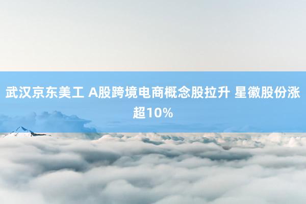 武汉京东美工 A股跨境电商概念股拉升 星徽股份涨超10%