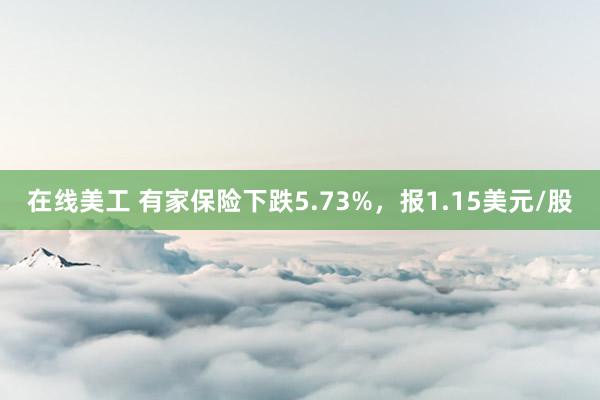 在线美工 有家保险下跌5.73%，报1.15美元/股